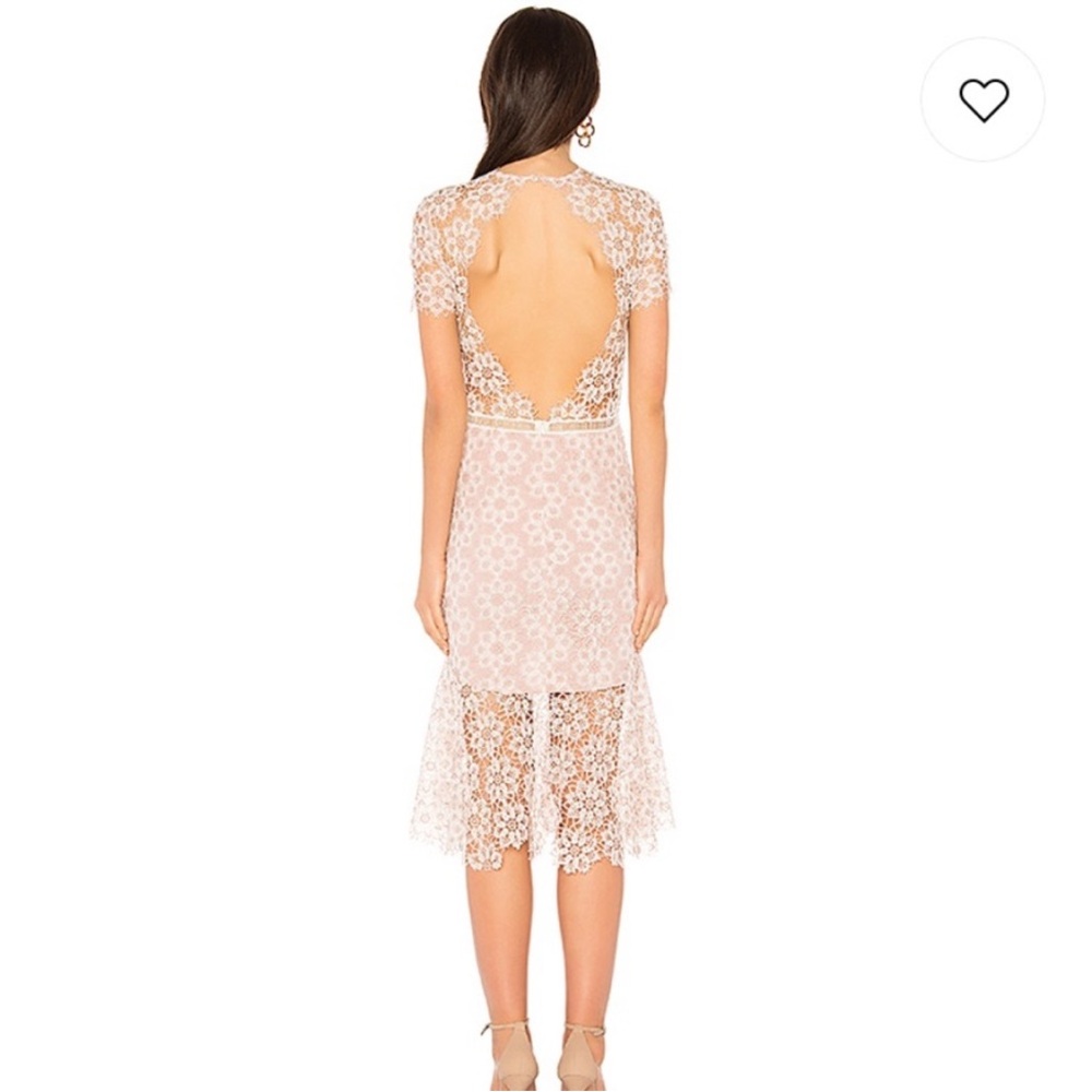 Saylor Ivory Backless Lace Dress ~ Sz S - Picture 6 of 12
